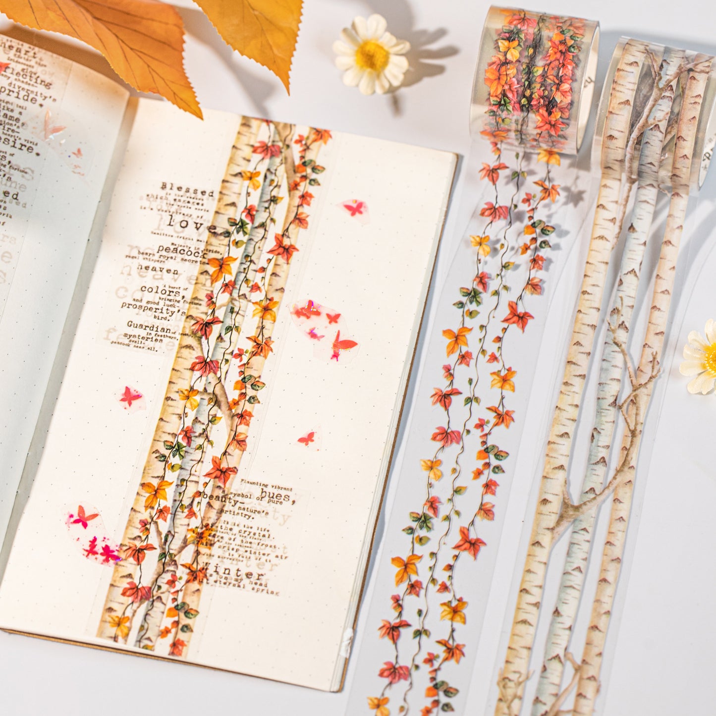 2 Rolls Autumn Themed PET Tapes Set QSJN