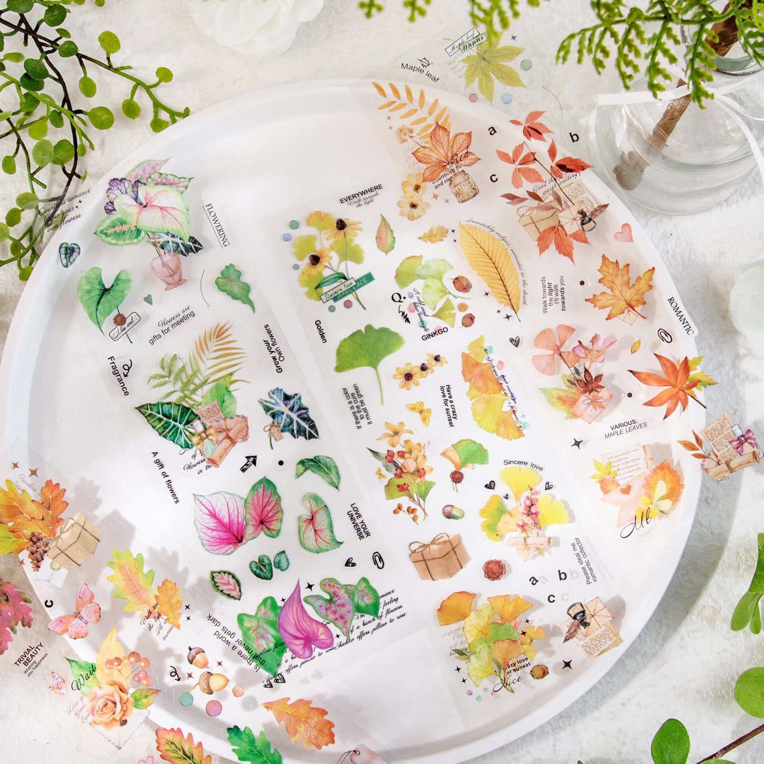 6 Pcs Plant PET Stickers XSLXL