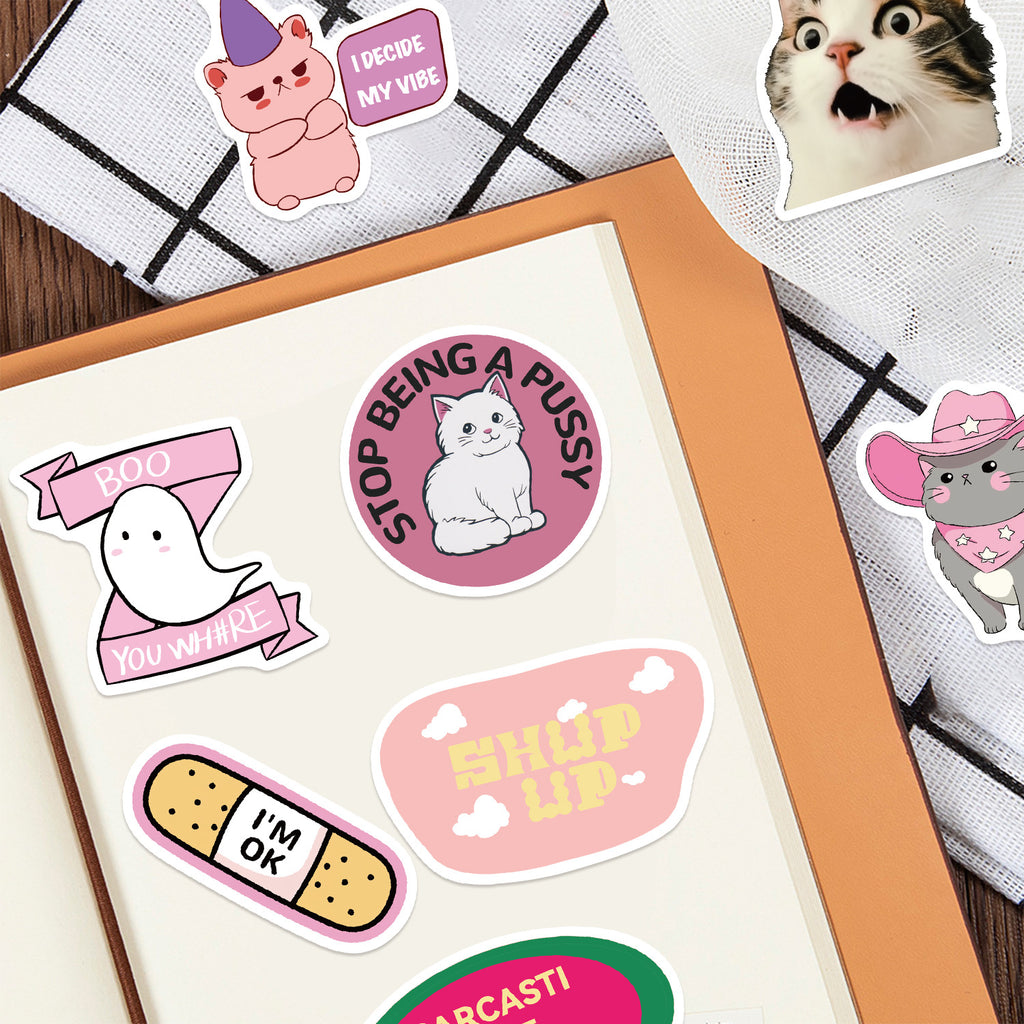 50PCS Funny Sarcastic Meme Vinyl Stickers FUN15