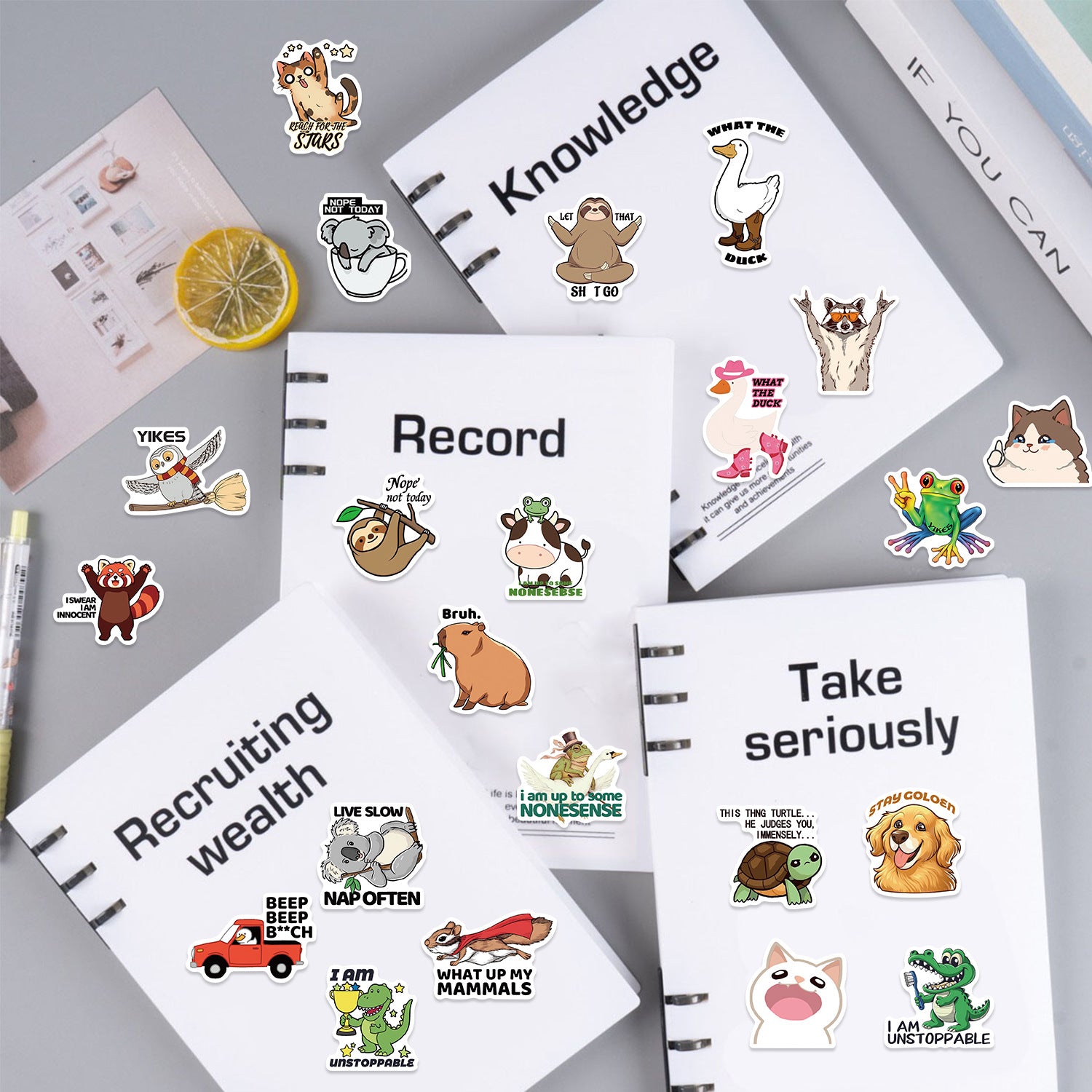 50PCS Funny Sarcastic Meme Vinyl Stickers FUN17