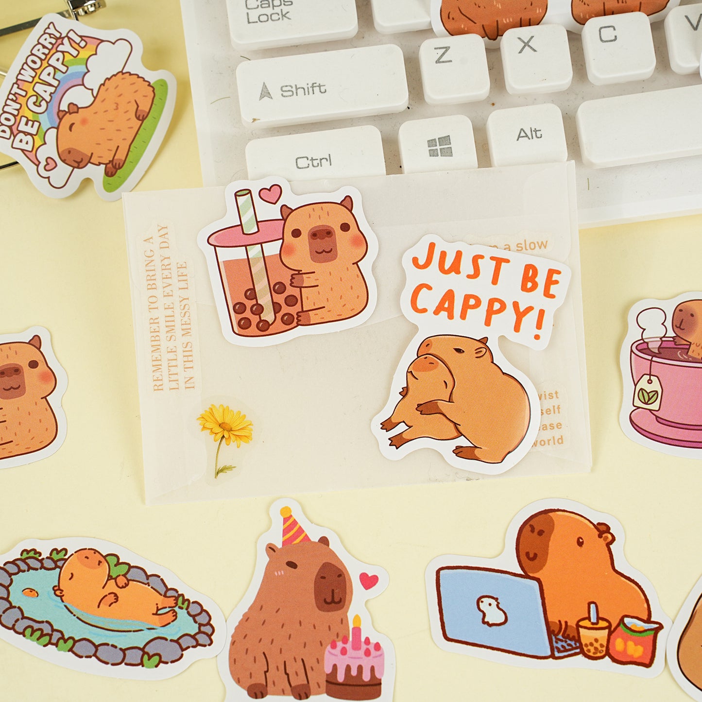 30 Pcs Capybara Boxed Stickers YTST