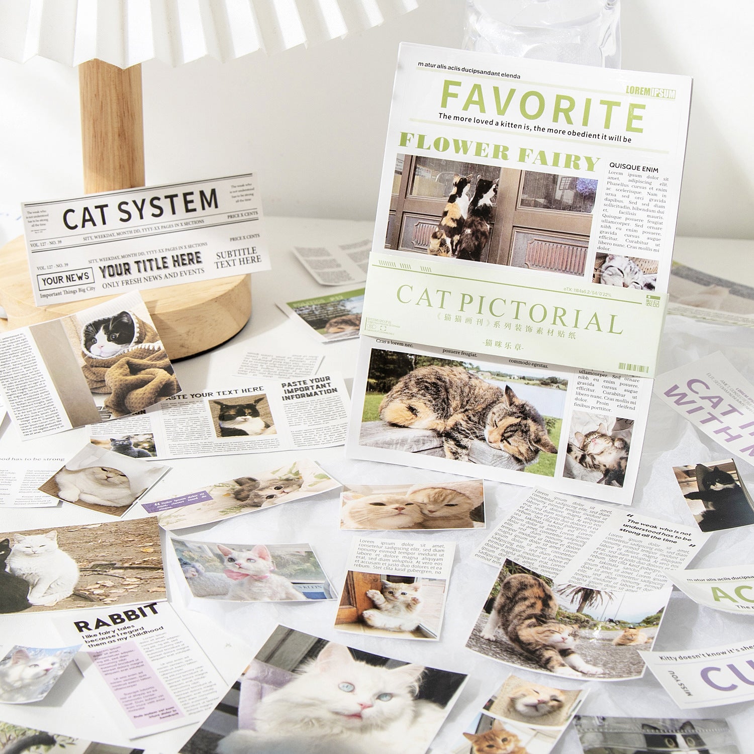 Hakan Cat Stickers Book