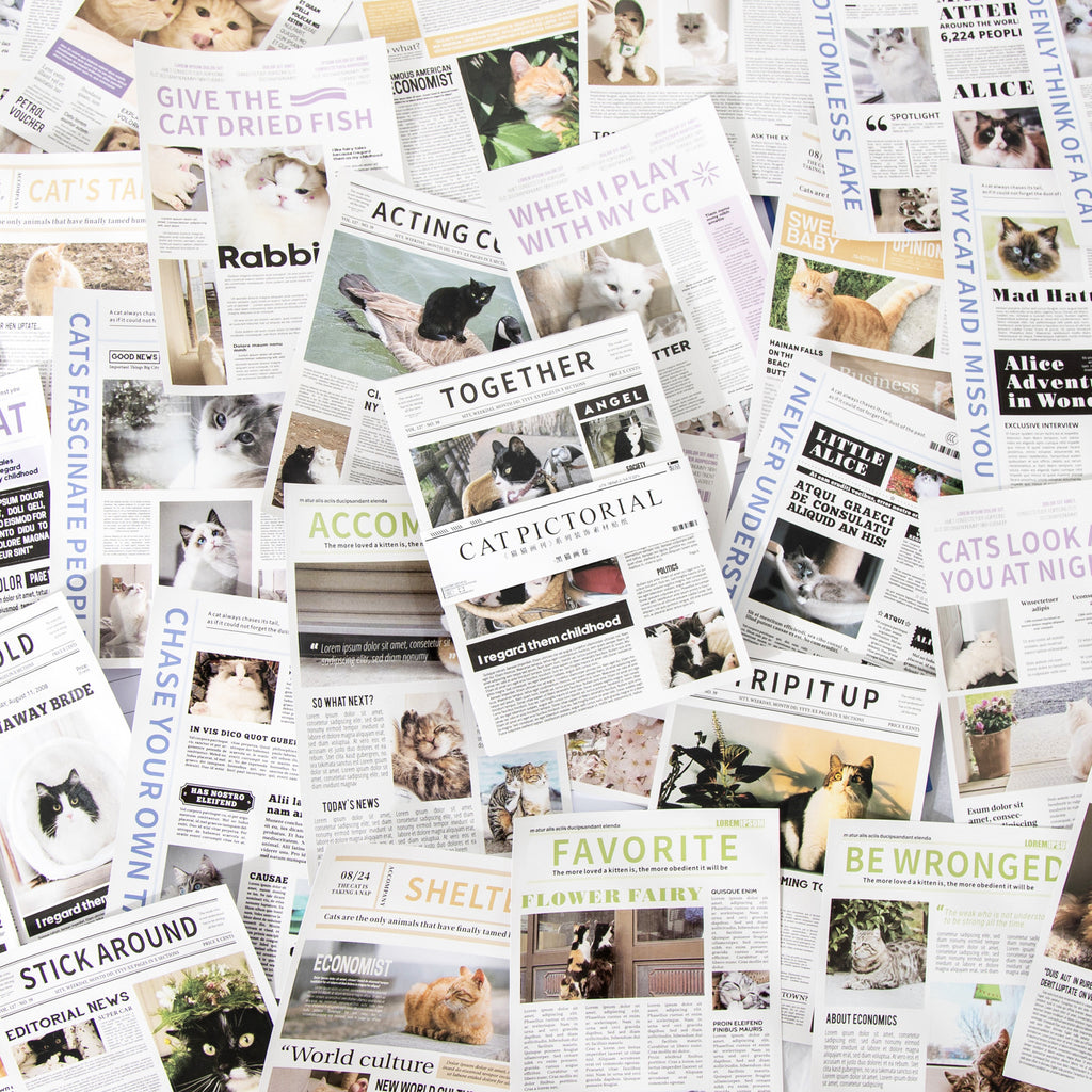 Hakan Cat Stickers Book