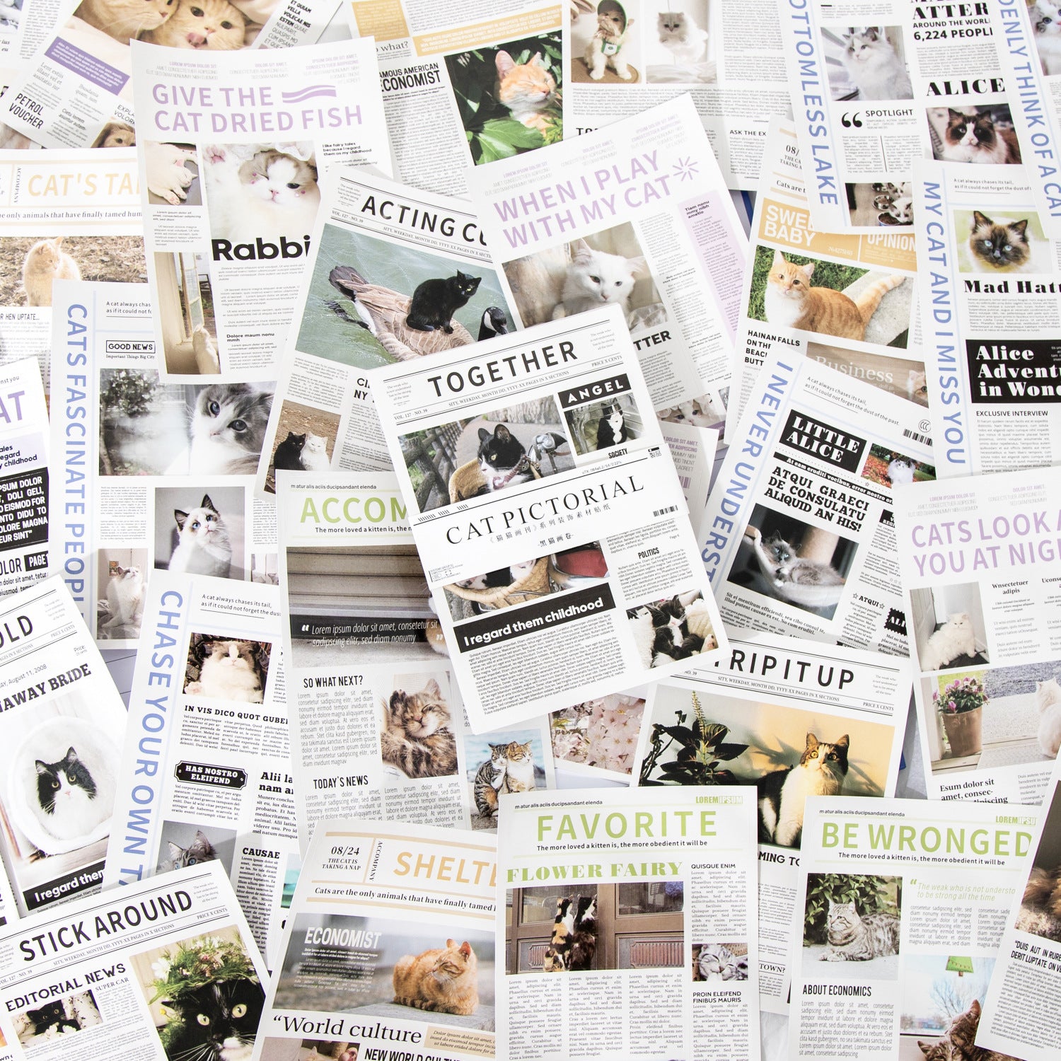 Hakan Cat Stickers Book
