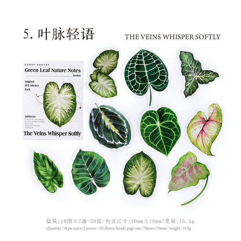 20 Pcs Big Size Leaf Stickers LYZRSZ