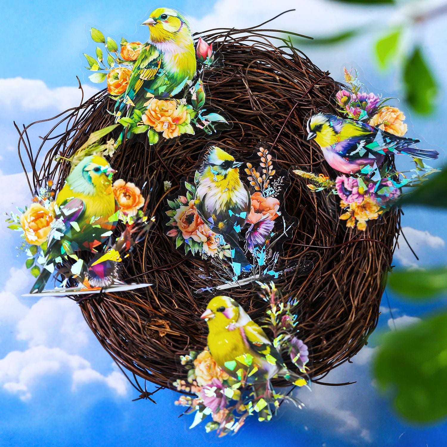 10 Pcs PET Bird Stickers HCFN