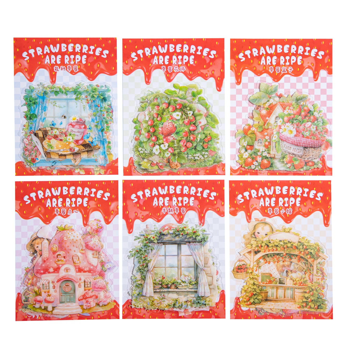 15 Pcs Strawberry Girl PET Sitckers CMSL