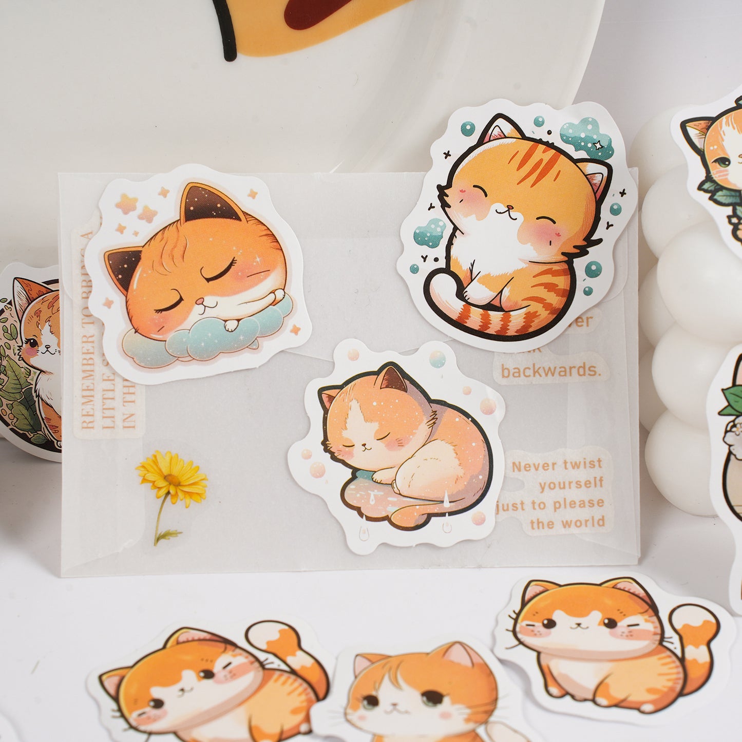 30 Pcs Ginger Cat Boxed Stickers YQJM