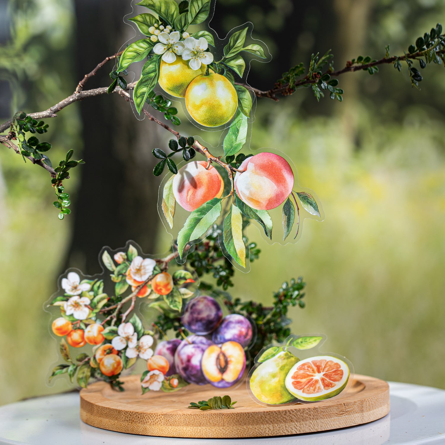 12 Pcs Fruit PET Stickers SGHX