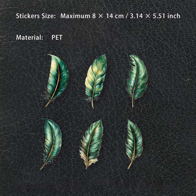 6 Pcs Feather PET Stickers SZBY