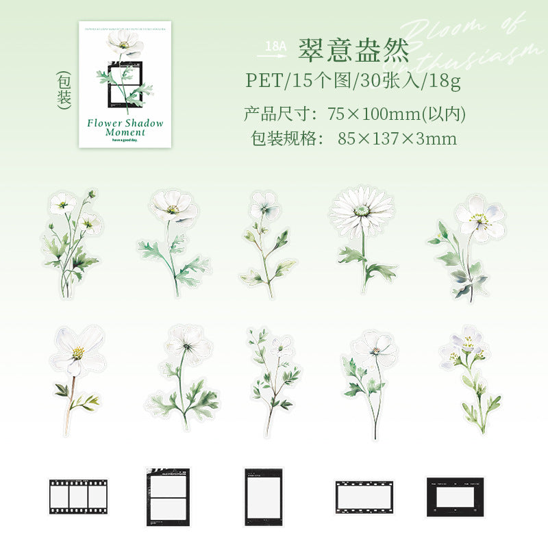 30 Pcs Flower and Frame PET Stickers HYSJ