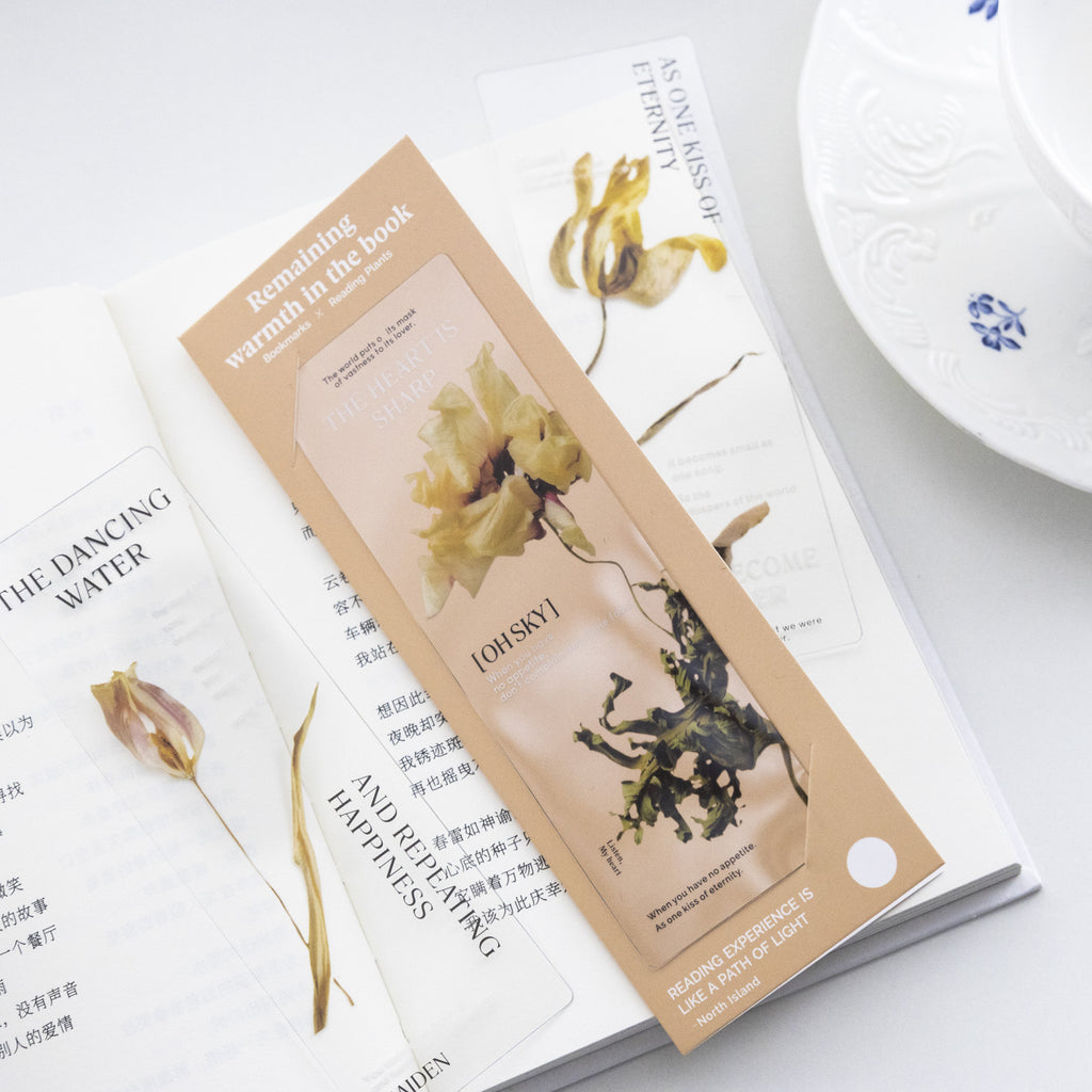 3 Pcs Creative PVC Bookmark SZYW