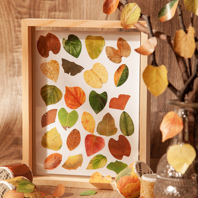 50 Pcs Petal Leaf Washi Stickers XXDLY