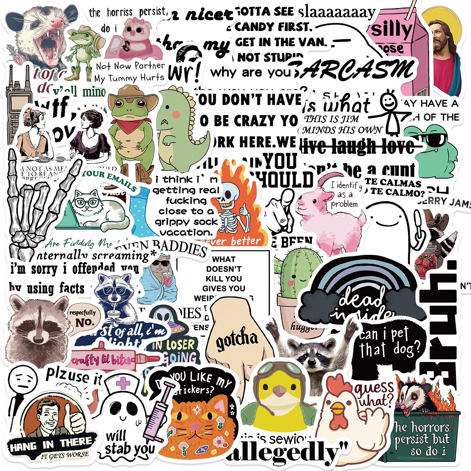 50PCS Funny Sarcastic Meme Vinyl Stickers FUN11