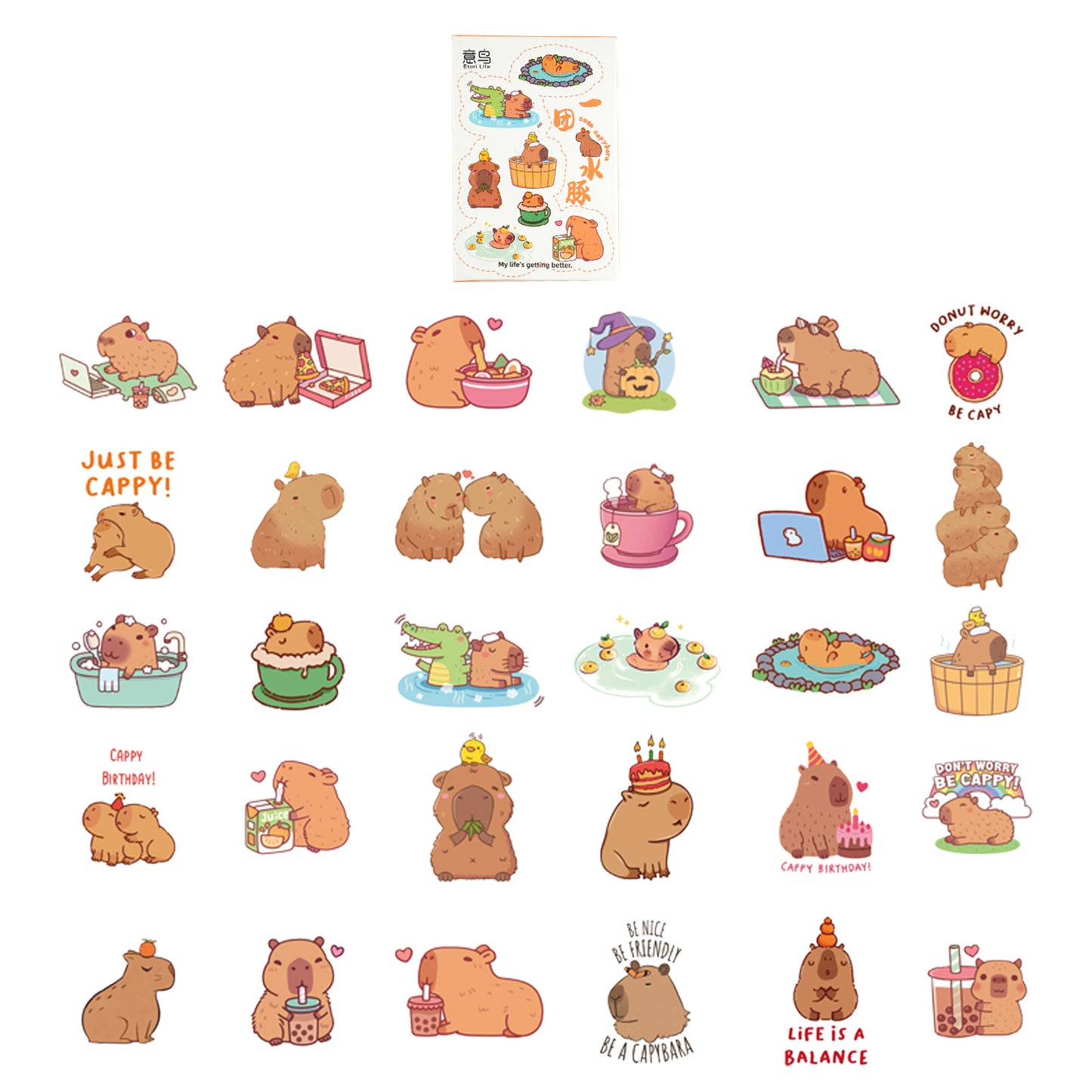 30 Pcs Capybara Boxed Stickers YTST