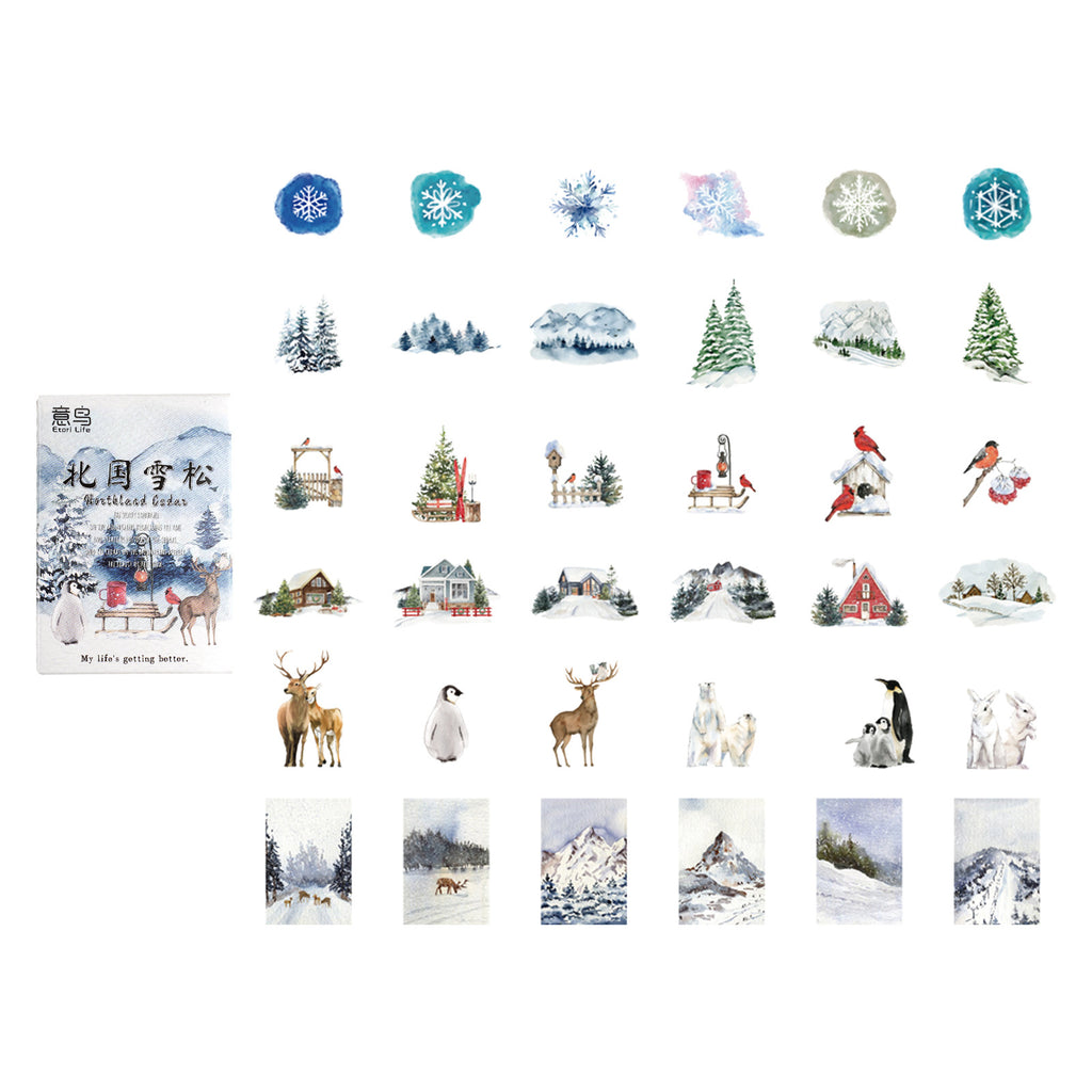 30 Pcs Snow Theme Stickers BGXS
