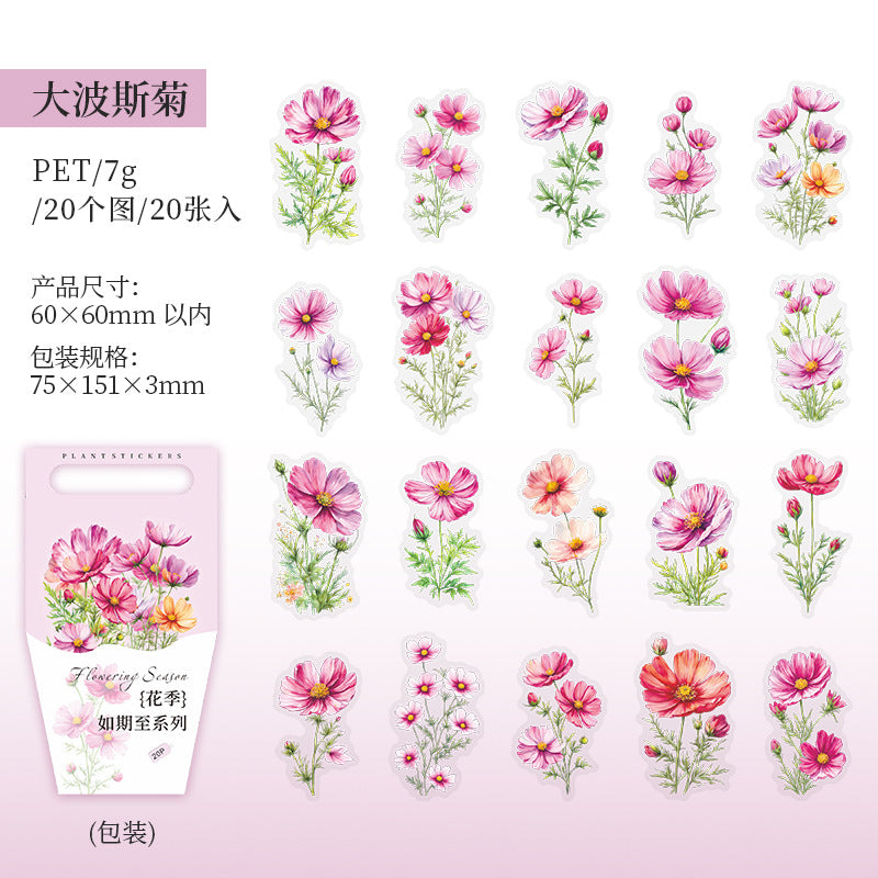 20 Pcs PET Flower Stickers HJRQZ