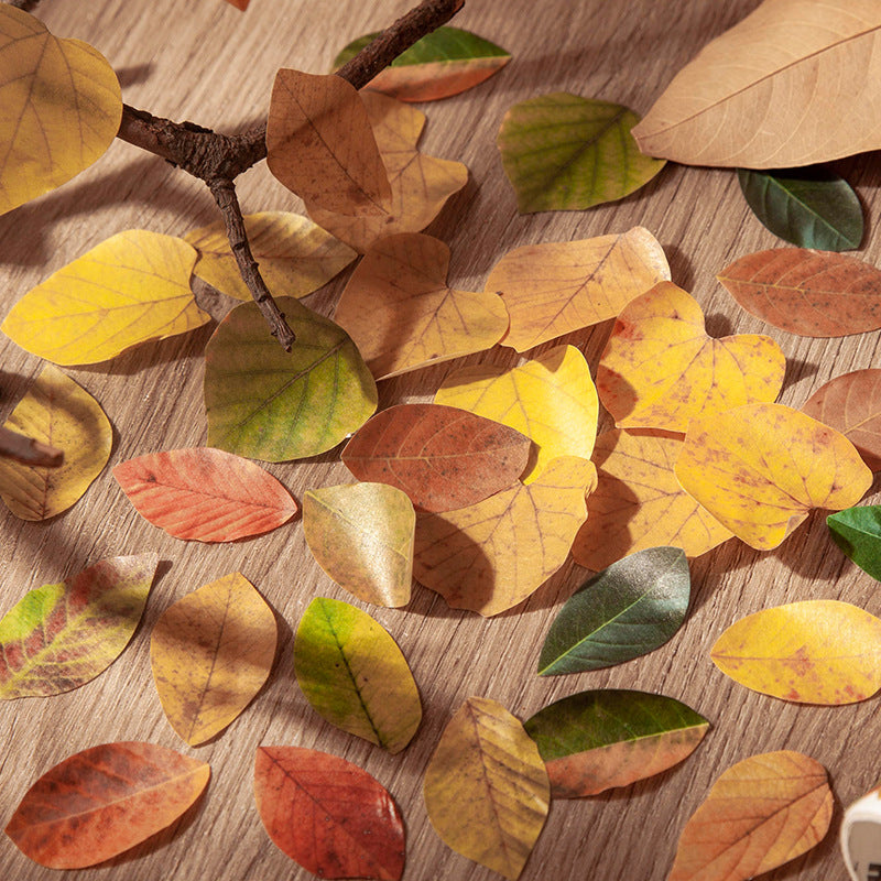 50 Pcs Fallen Leaves Washi Stickers