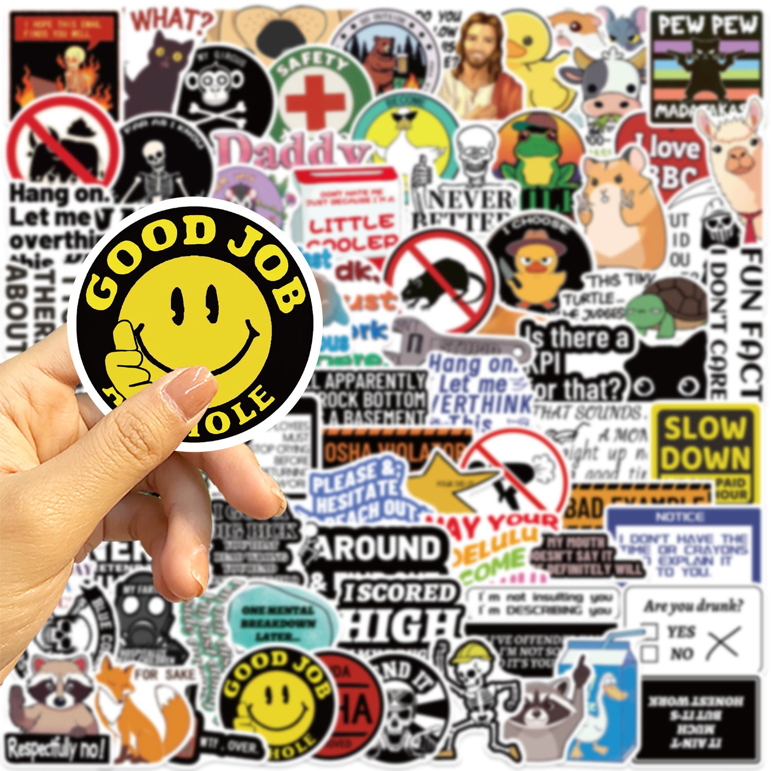 50PCS Funny Sarcastic Meme Vinyl Stickers FUN13