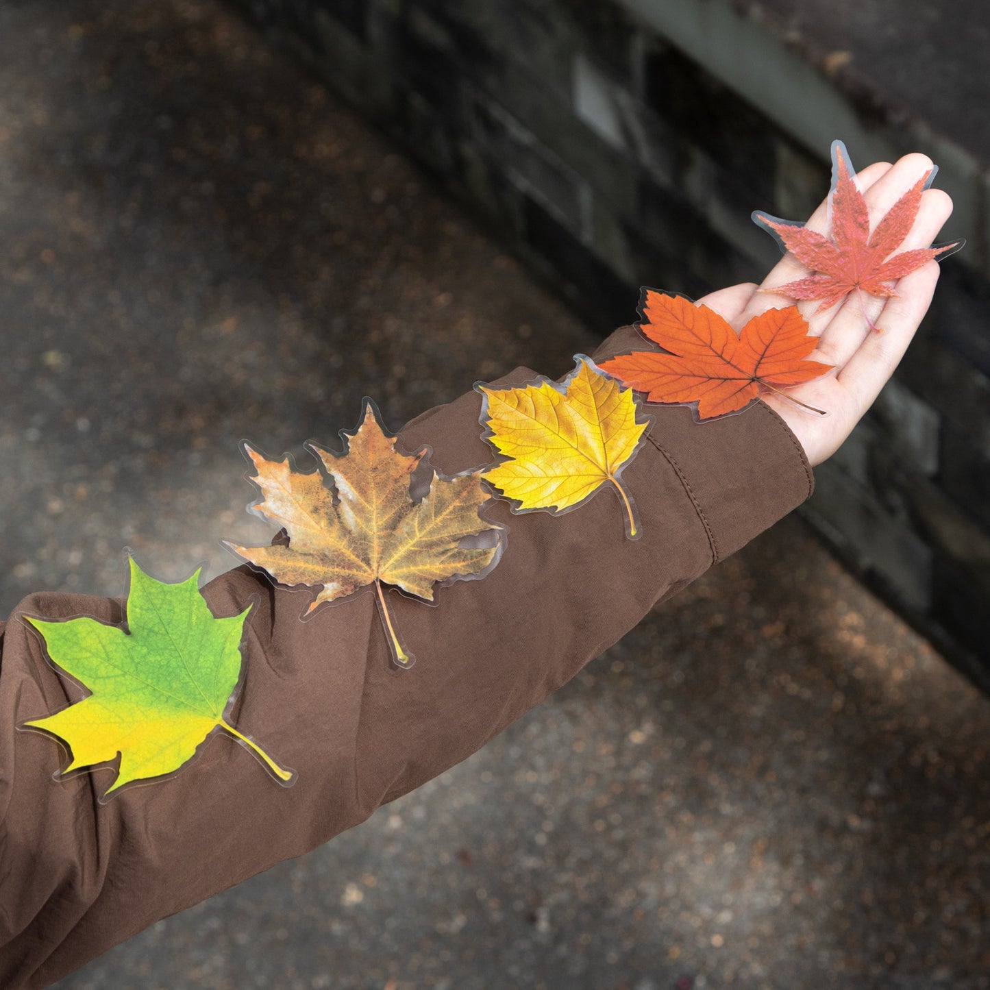 15 Pcs Autumn Leaf PET Stickers FYJJ