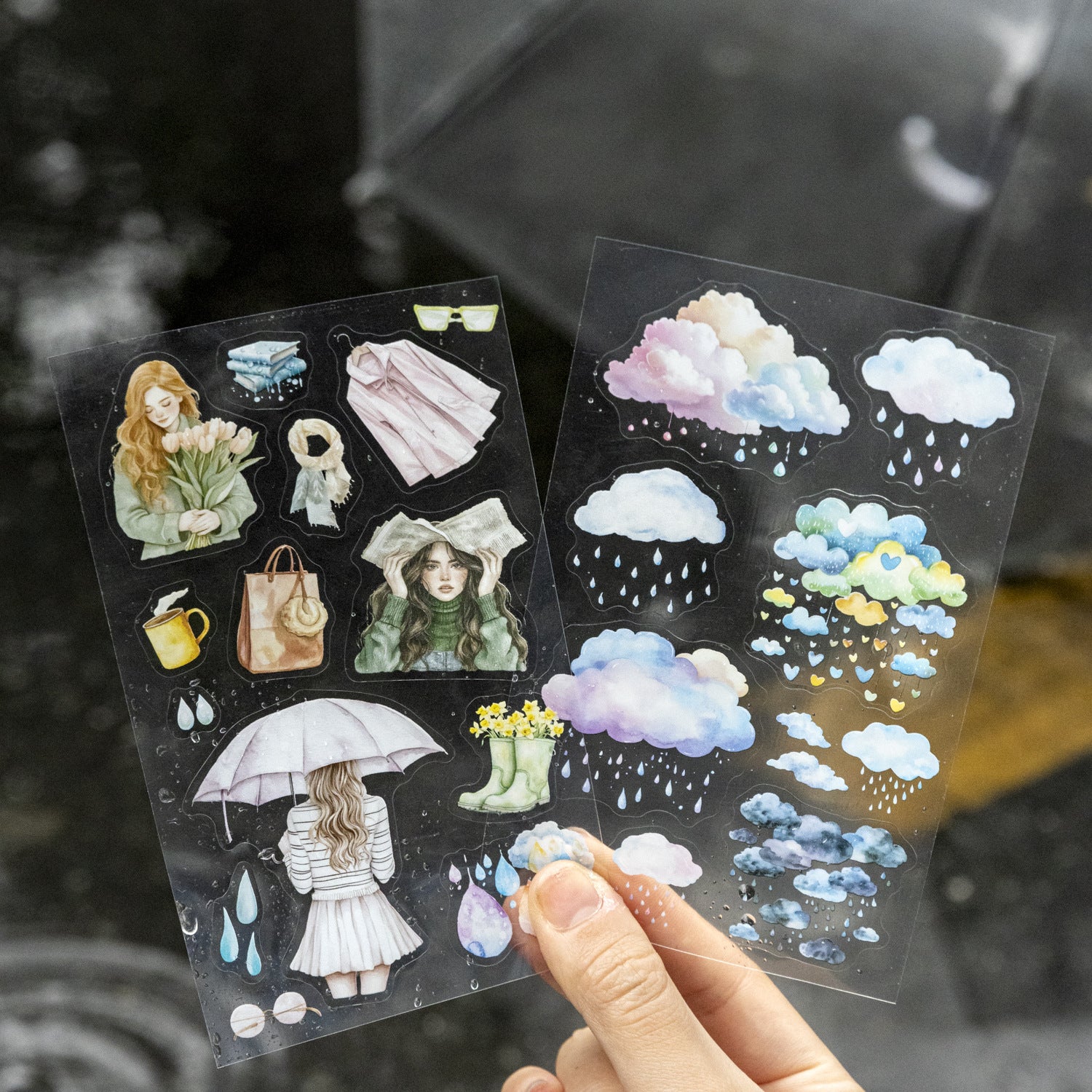 2 Sheets Rainny Theme PET Stickers YHQN
