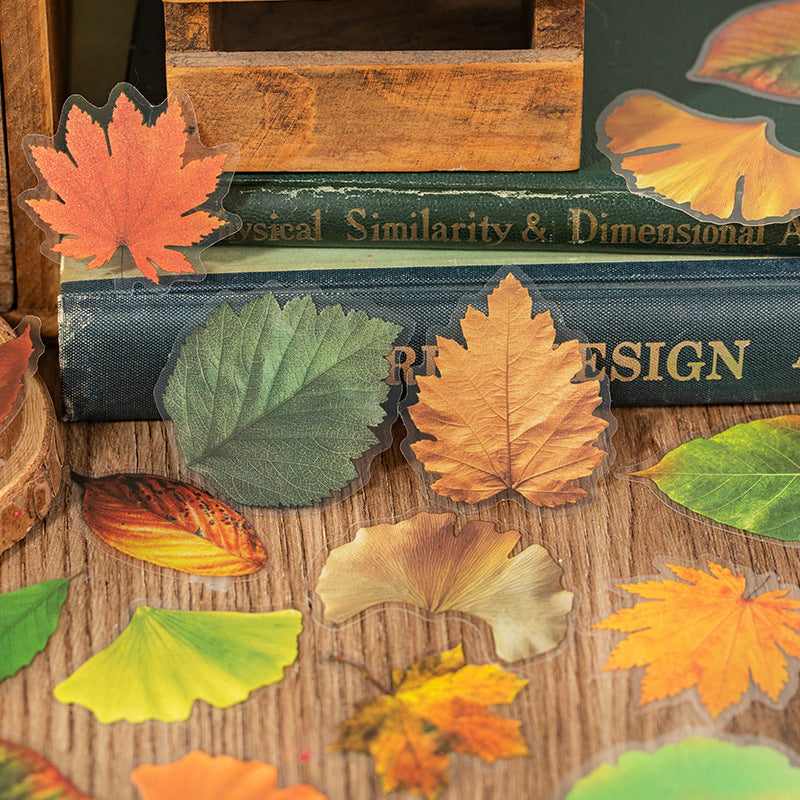 40 Pcs Pressed Leaf Stickers QDZY