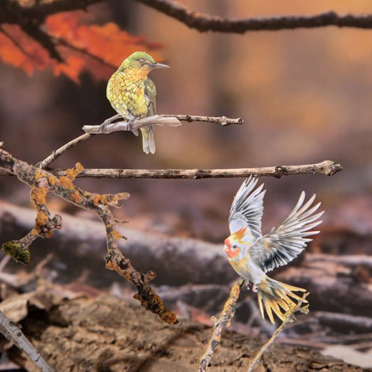 20 Pcs Flying Birds PET Stickers LJQY