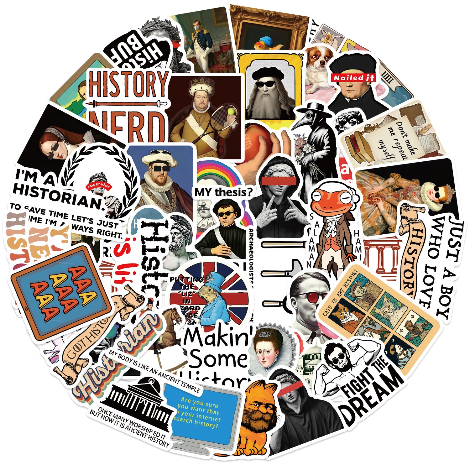 50PCS Funny Sarcastic Meme Vinyl Stickers FUN14