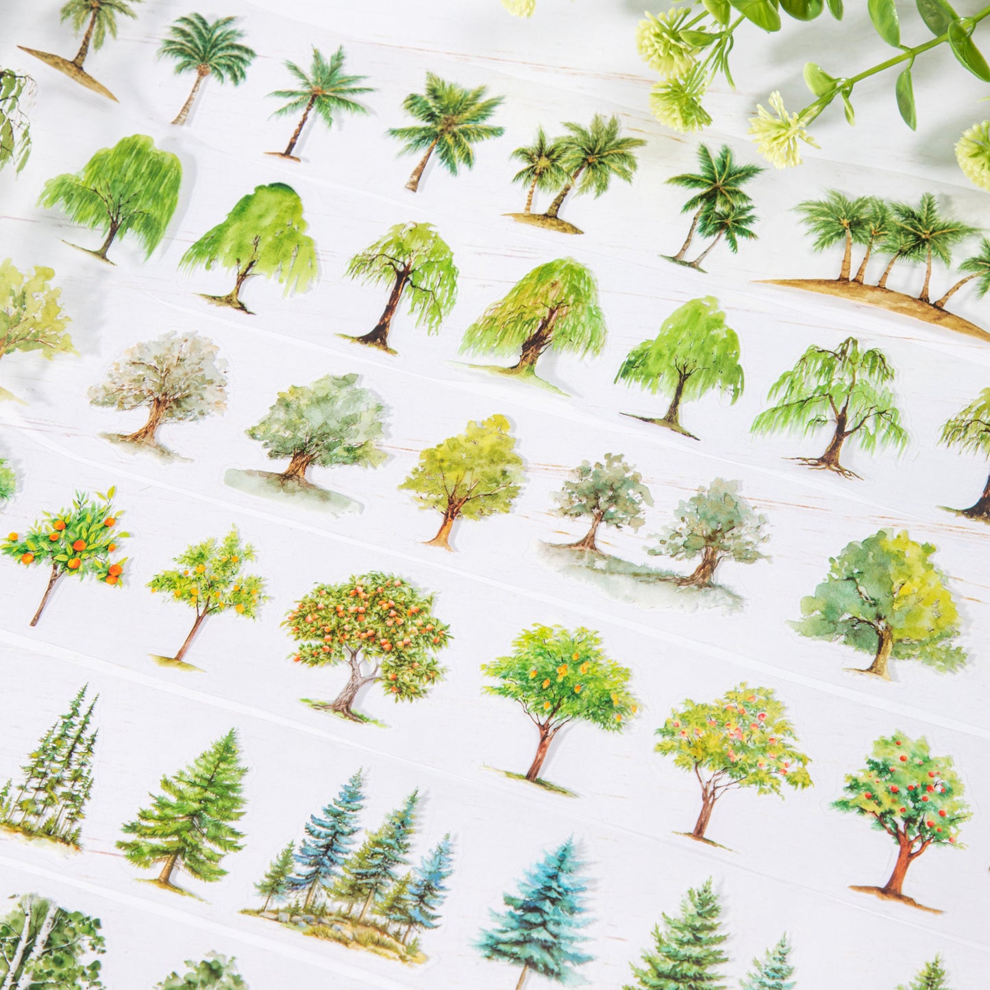 1 Roll Pre-cut Tree PET Stickers Tape SLHM