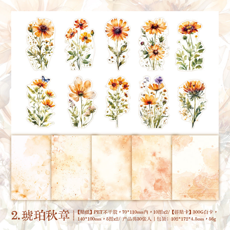 30 Pcs PET Stickers and Paper Journal Supplies HKDSH