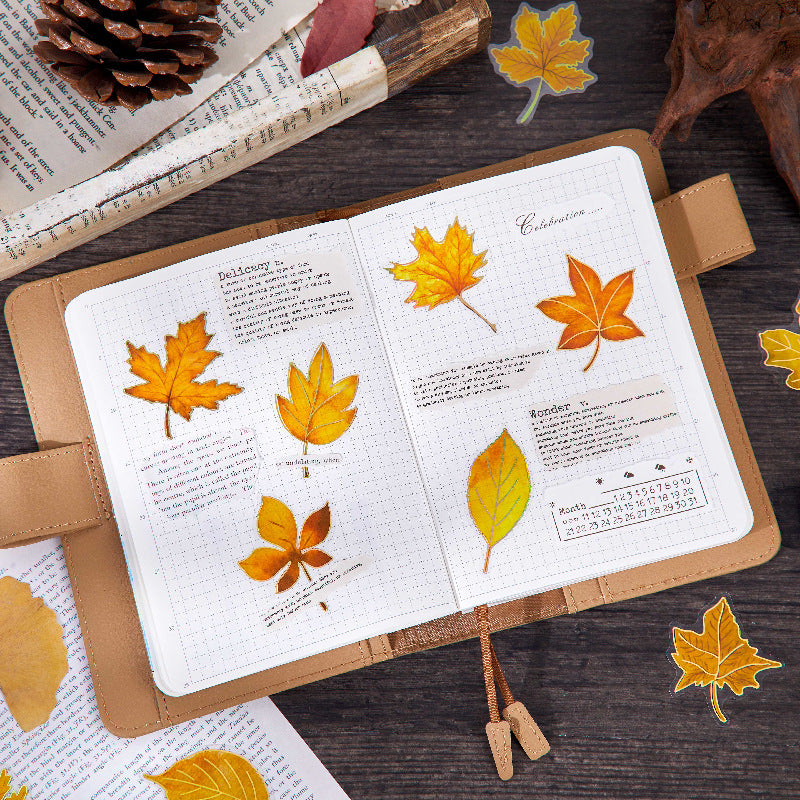 30 Pcs Autumn Leaves PET Stickers FYWY