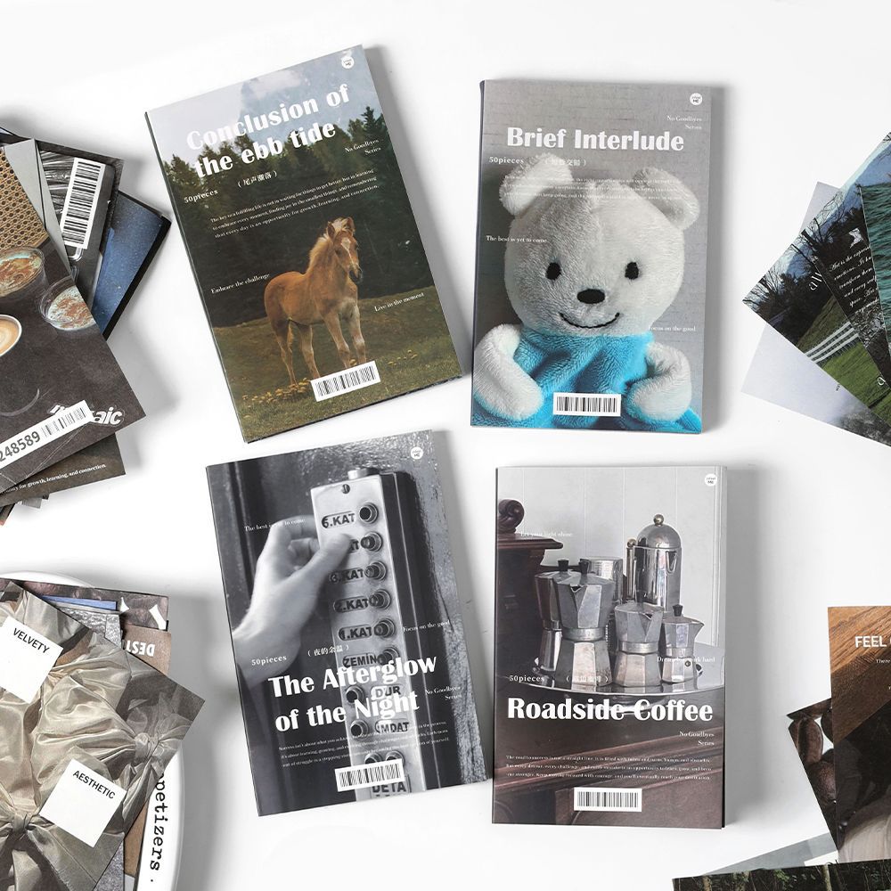 50 Sheets Lifestyle Scrapbook Paper BSZJ