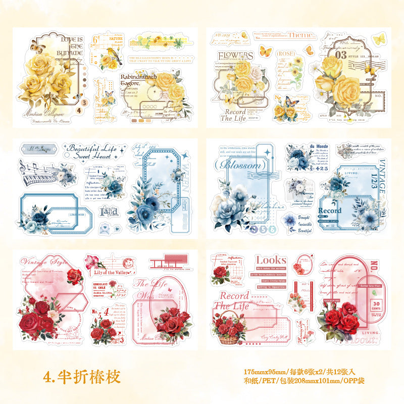 12 Sheets Girl Flower PET and Washi Stickers DFCRQ