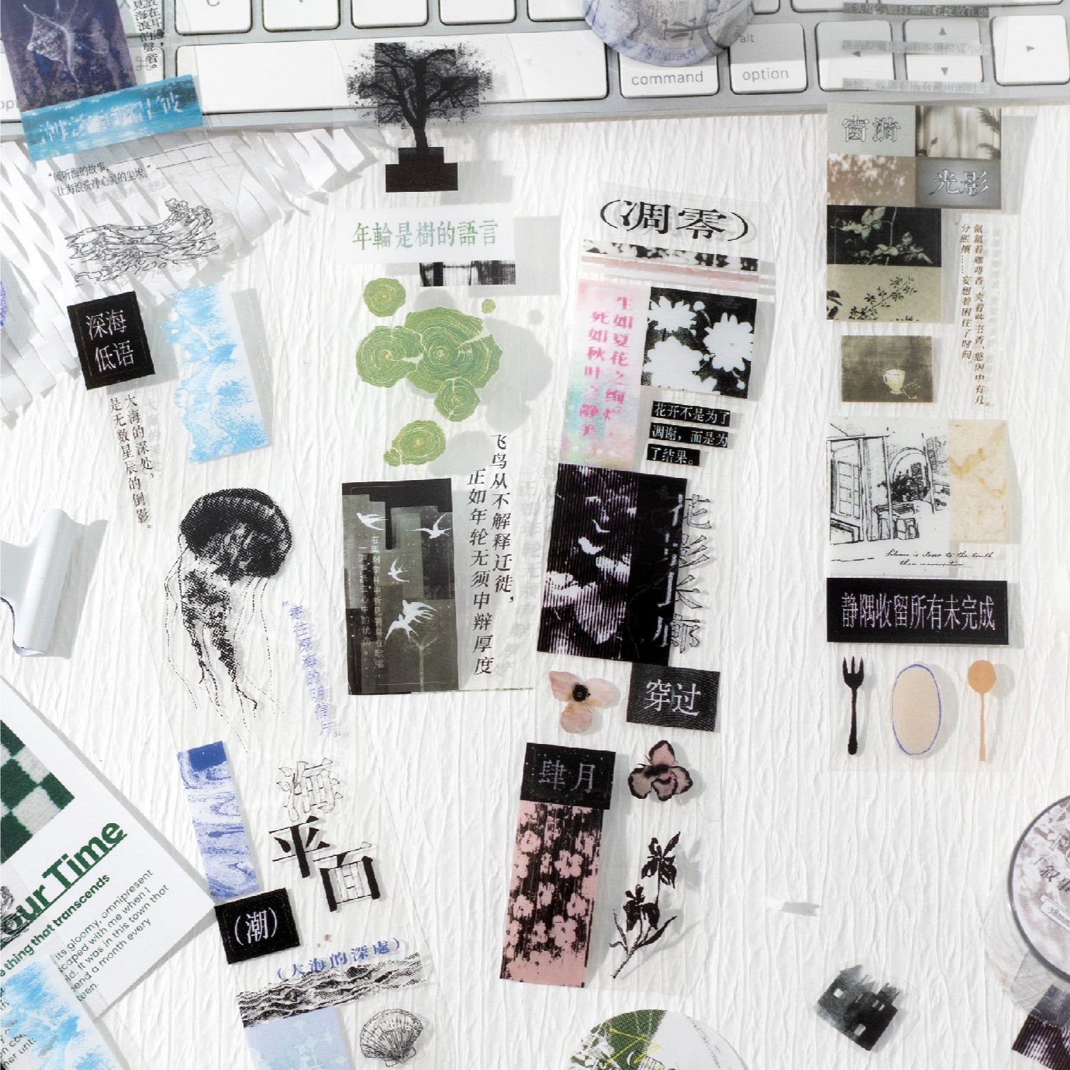 1 Roll Vintage PET Tape XHSP