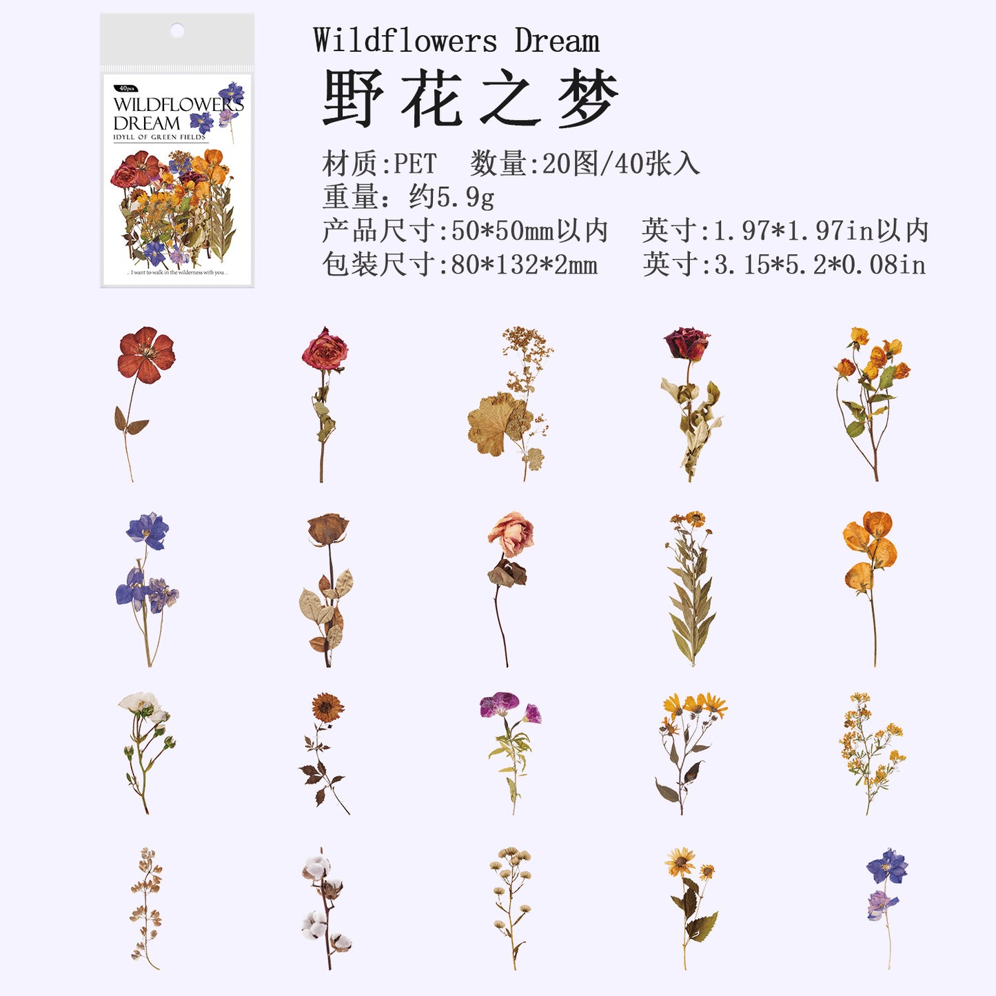 40 Pcs Forest Botanical PET Stickers LYMG