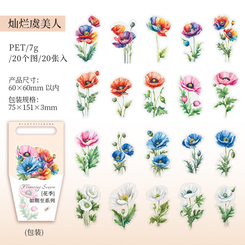 20 Pcs PET Flower Stickers HJRQZ