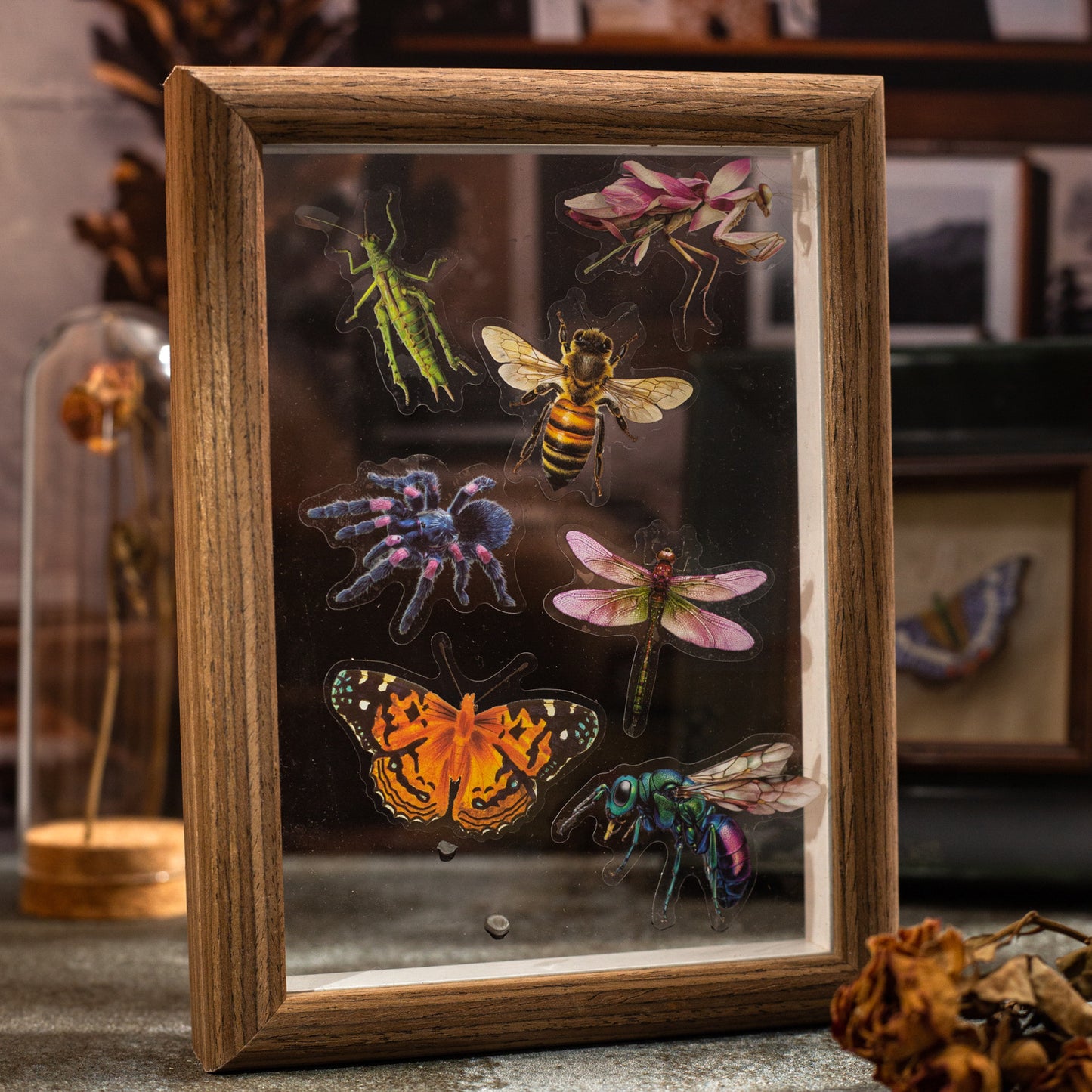 25 Pcs Insect PET Stickers KCBBTJ