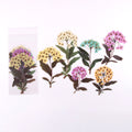 6 Pcs  Large Pressed Wildflowerw Stickers CFHYB