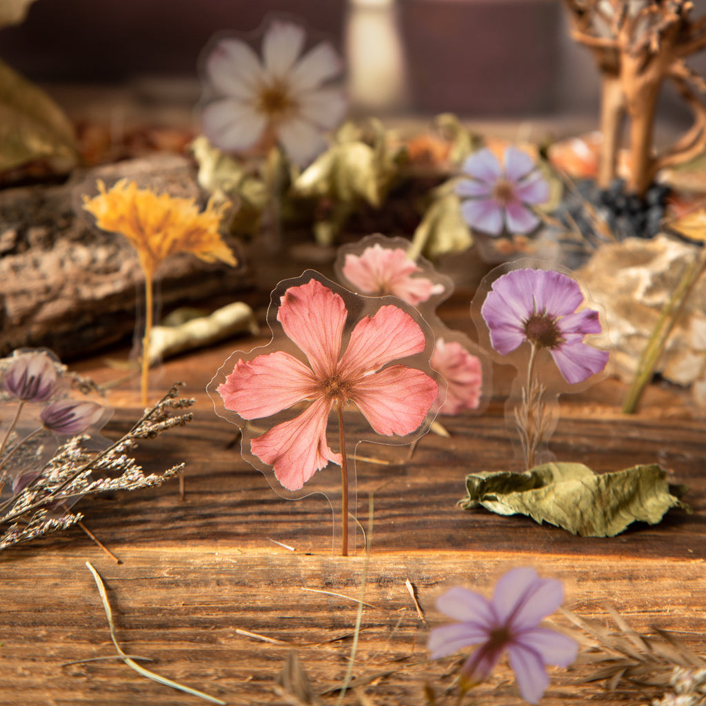 50 Pcs Pressed Flower PET Stickers LJDY