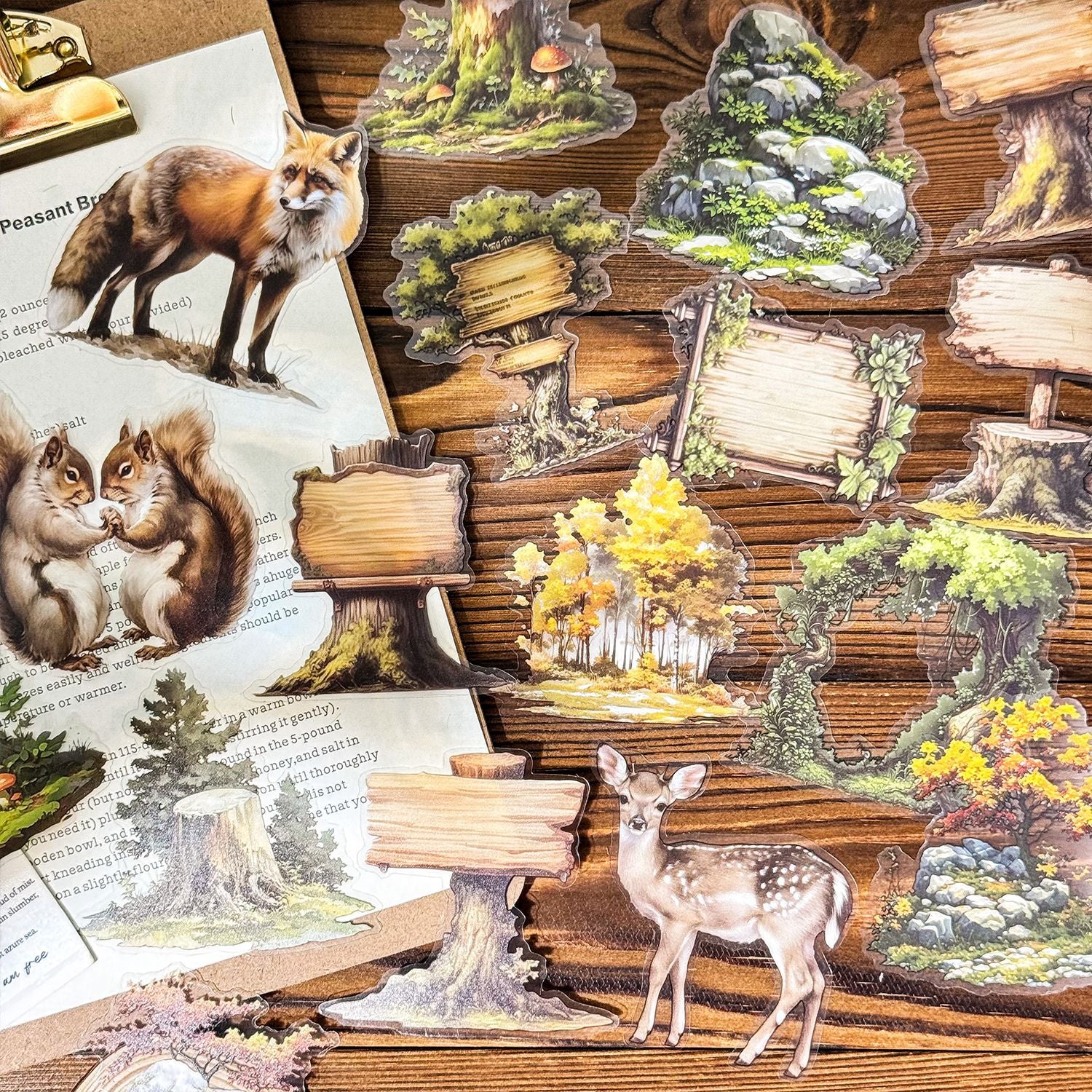 25 Pcs Wildland Theme PET Stickers LYMJ