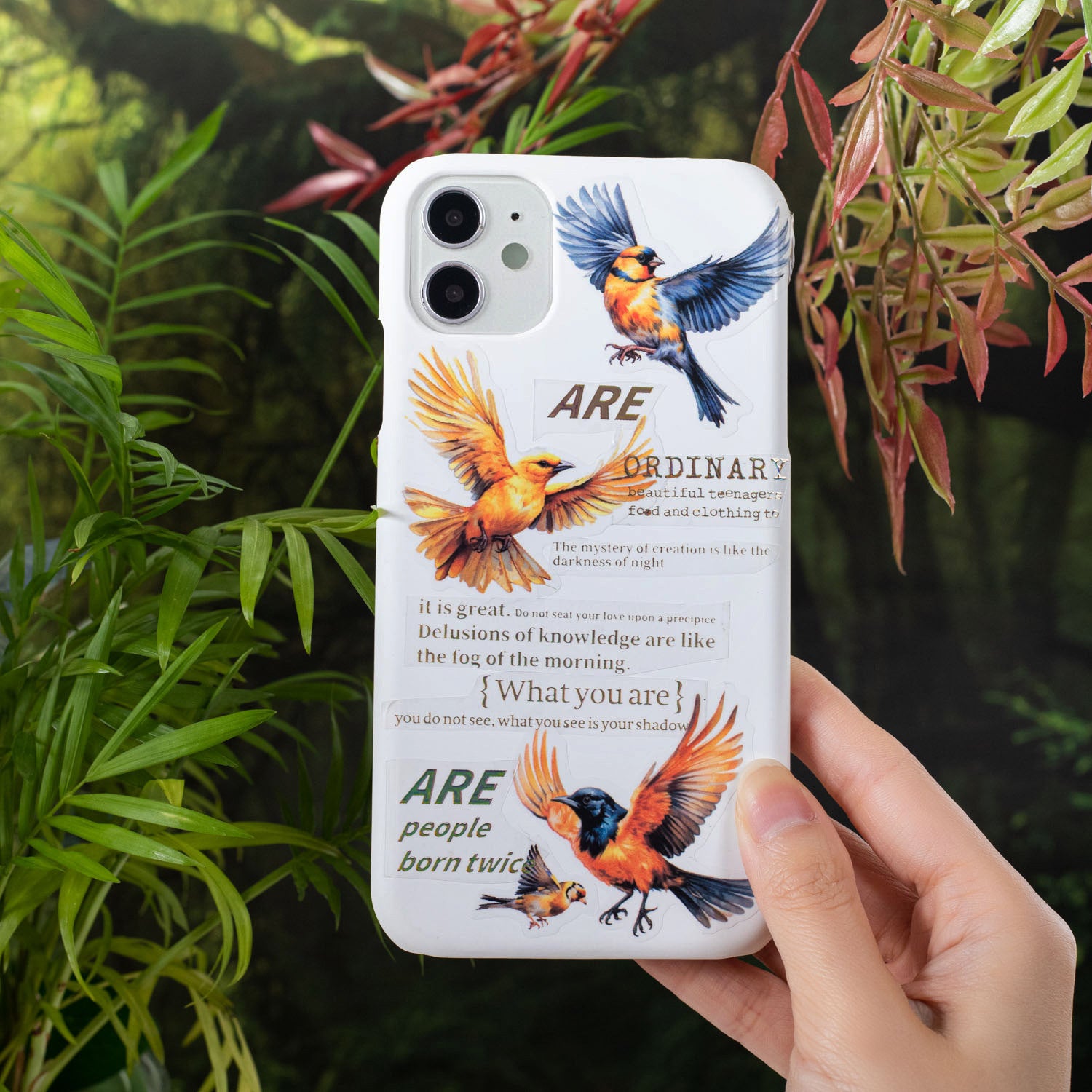1 Roll Bird Die Cut PET Tape FNXL