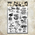Clear Silicone Stamp STM513
