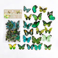 40 Pcs Buttefly PET Sticker Pack HDZRC