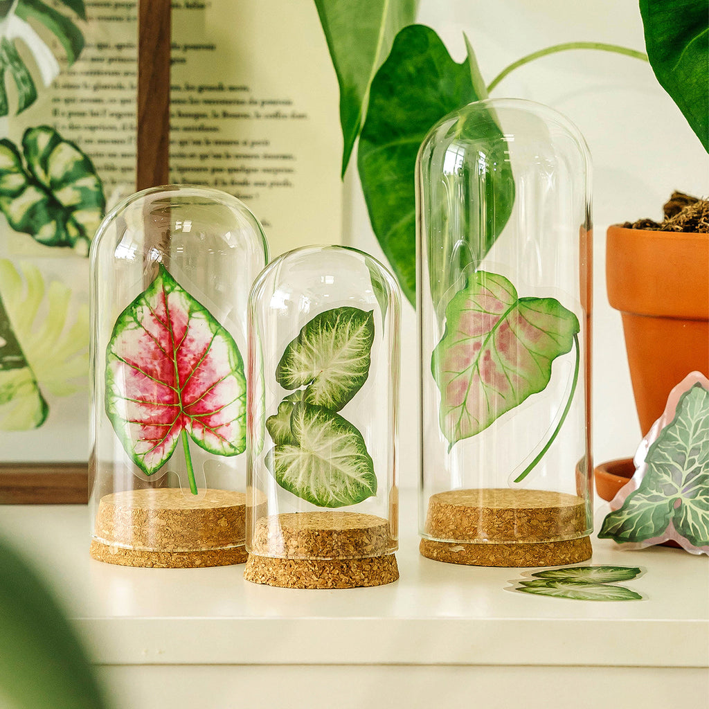20 Pcs Big Size Leaf Stickers LYZRSZ