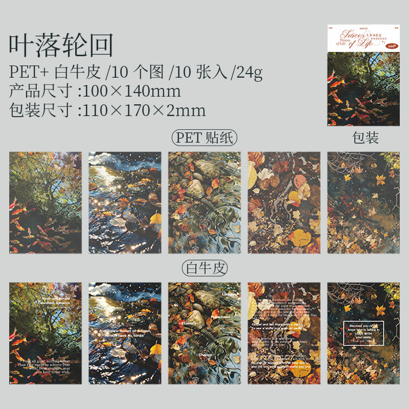 10 Sheets Texture PET Stickers and Paper SMHJ