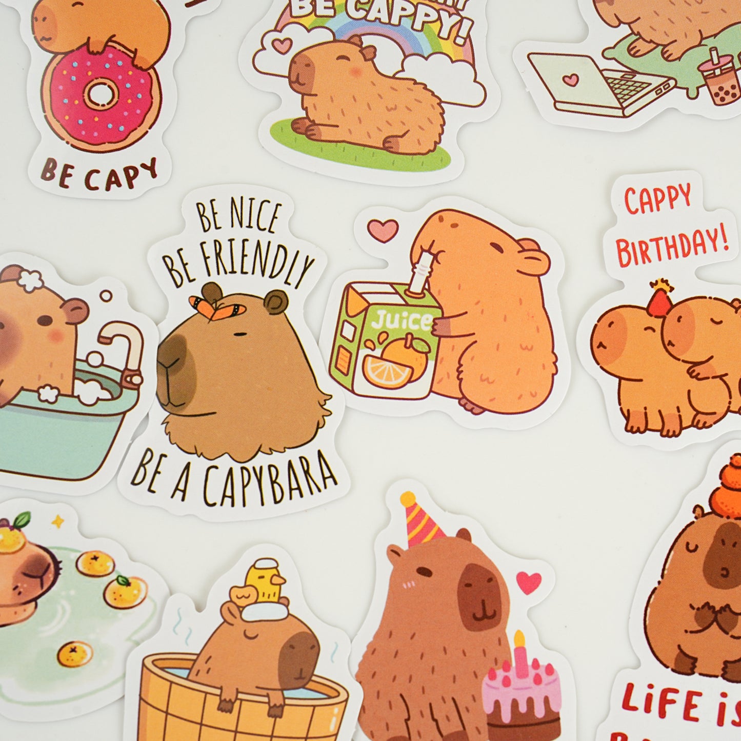 30 Pcs Capybara Boxed Stickers YTST