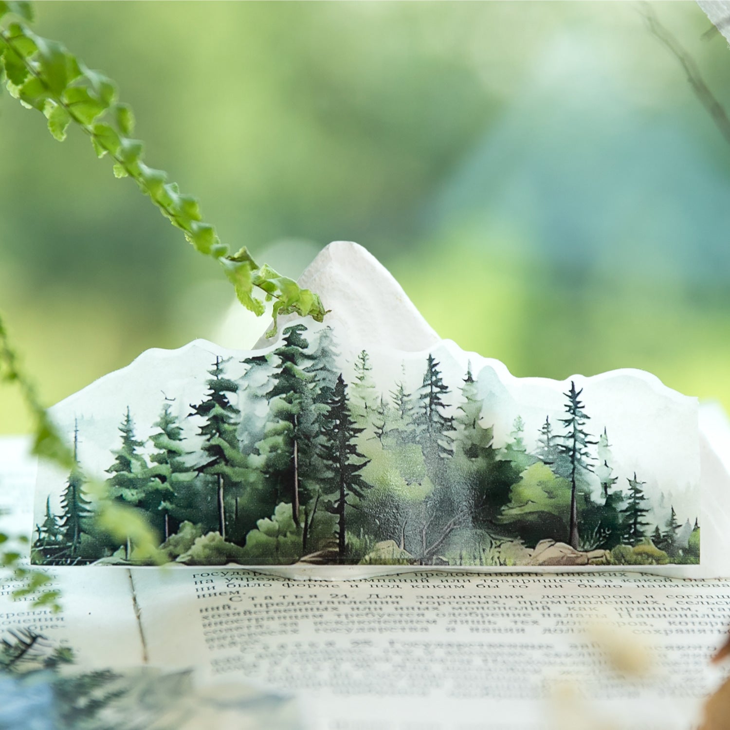 1 Roll Mountain Forest Washi Tape SCQK