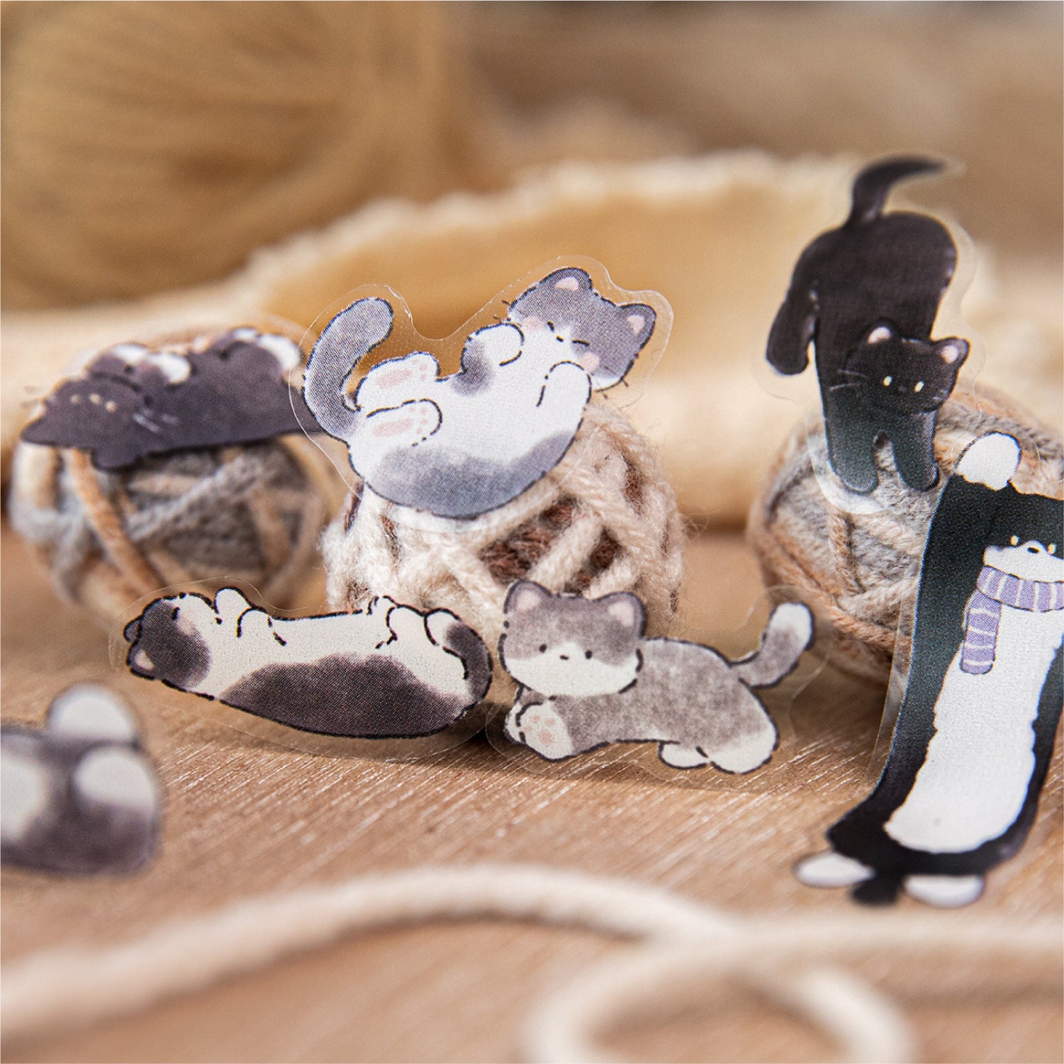 1 Roll Kawaii Cat PET Stickers Tape XMXG