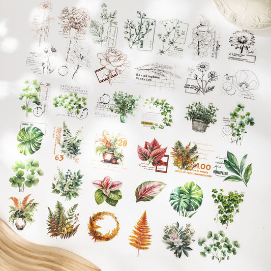 15 Pcs Plant Leaf PET Stickers LYSG