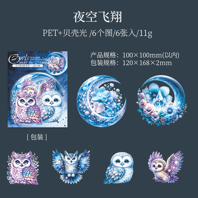 6 Pcs Owl Stickers YXMTY